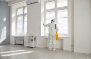 شركة مكافحة حشرات بدبي 1 شركة مكافحة حشرات بدبي