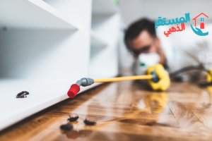 شركة مكافحة الرمة في أبوظبي | معالجة النمل الأبيض خصم 30% 2 شركة مكافحة الرمة في أبوظبي | معالجة النمل الأبيض خصم 30%